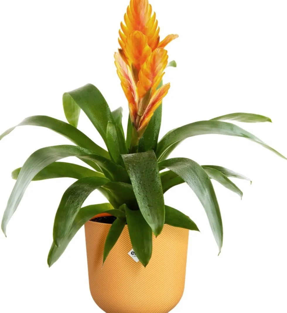 Elho bloempot Jazz geel D 14,2 H 13,1 cm