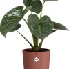 Elho bloempot Jazz rood D 26 H 24,2 cm
