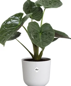 Elho bloempot Jazz wit D 23,1 H 21,5 cm