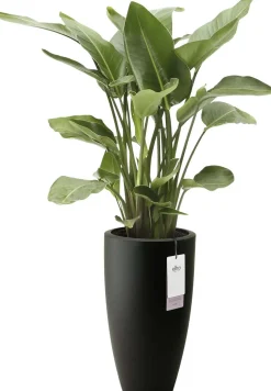 Elho bloempot June Round zwart D 30 H 53 cm