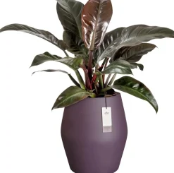 Elho bloempot June Split paars D 46 H 53 cm
