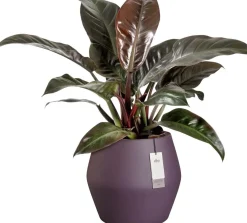 Elho bloempot June Split paars D 46 H 42 cm