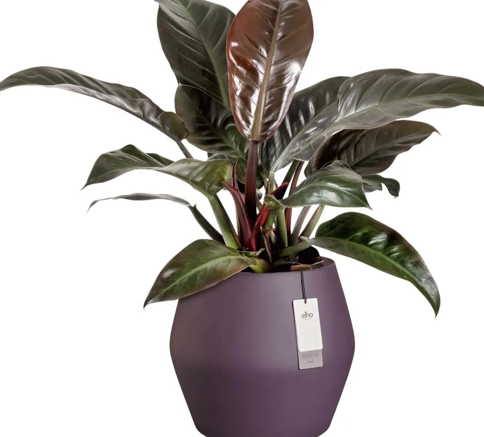 Elho bloempot June Split paars D 46 H 42 cm