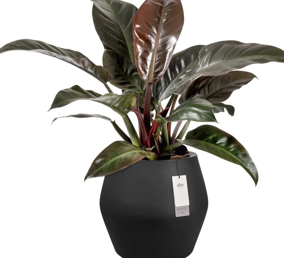 Elho bloempot June Split zwart D 46 H 42 cm