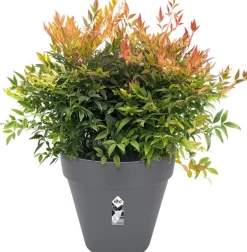 Elho bloempot Loft Urban antraciet D 69 H 62,5 cm
