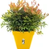 Elho bloempot Loft Urban geel D 38,5 H 35,3 cm