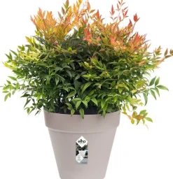 Elho bloempot Loft Urban grijs D 48,5 H 44,5 cm