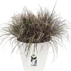 Elho bloempot Loft Urban wit D 48,5 H 44,5 cm