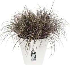 Elho bloempot Loft Urban wit D 38,5 H 35,3 cm
