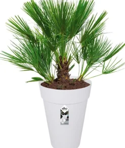 Elho bloempot Loft Urban wit D 42 H 56 cm