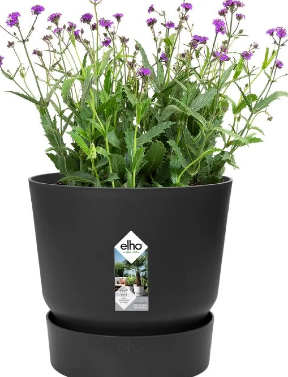 Elho bloempot met waterreservoir Greenville zwart D 16 H 15,3 cm