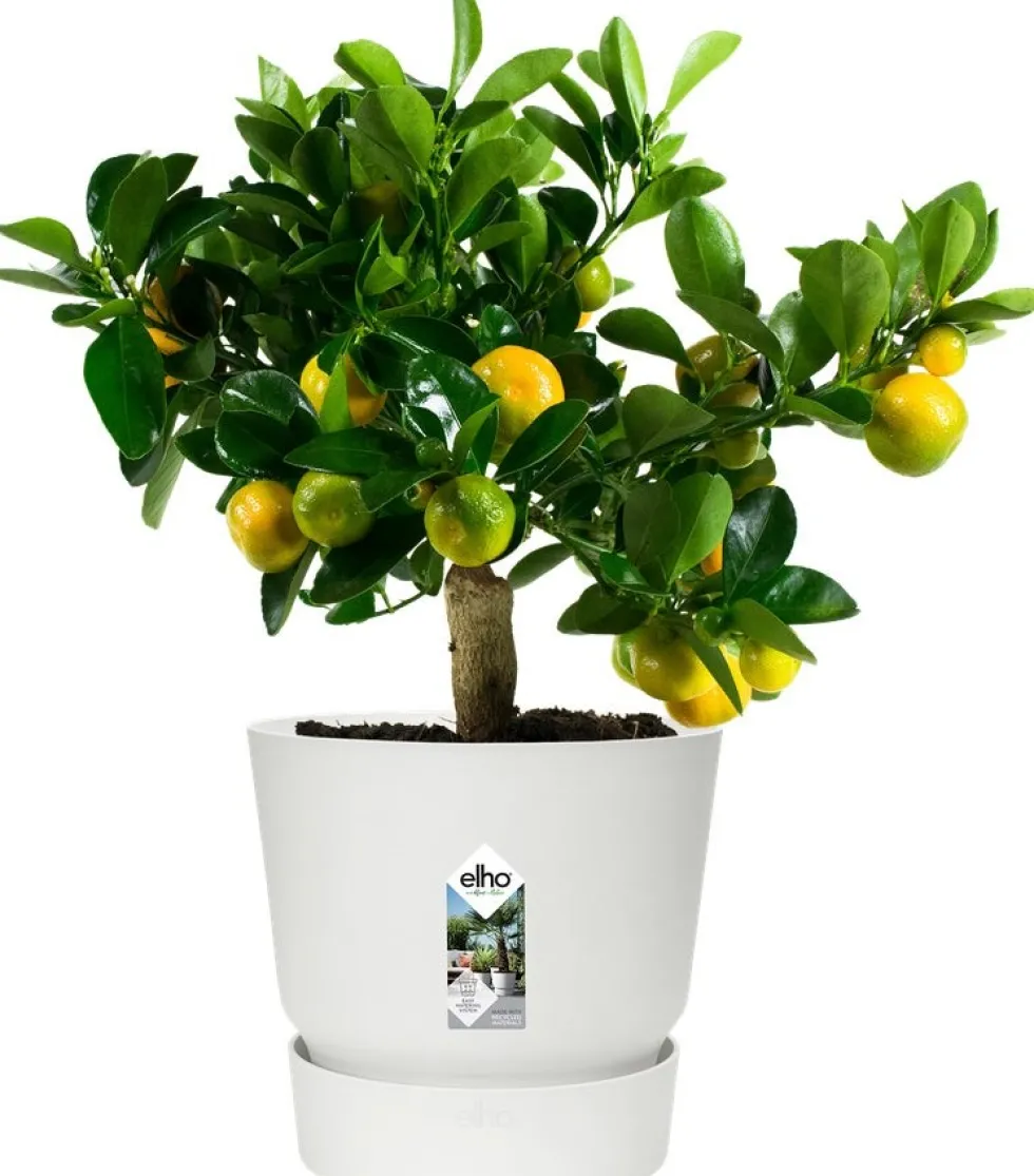Elho bloempot met waterreservoir Greenville wit D 24,5 H 23,3 cm