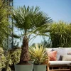 Elho bloempot met waterreservoir Greenville groen D 29,5 H 27,8 cm