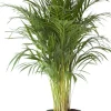 Elho bloempot met waterreservoir Greenville groen D 47 H 44 cm