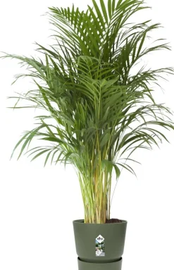 Elho bloempot met waterreservoir Greenville groen D 47 H 44 cm