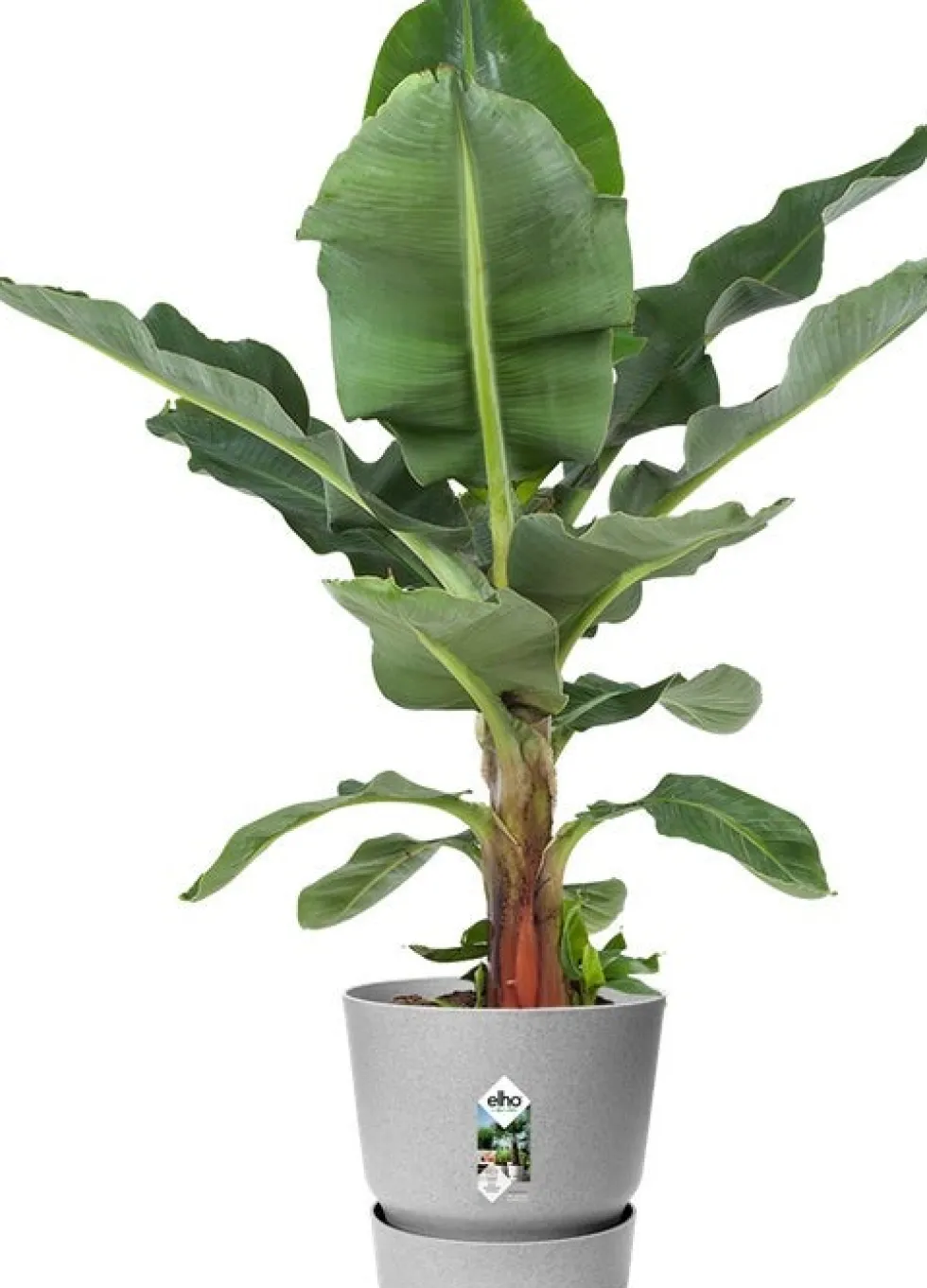 Elho bloempot met waterreservoir Greenville grijs D 29,5 H 27,8 cm
