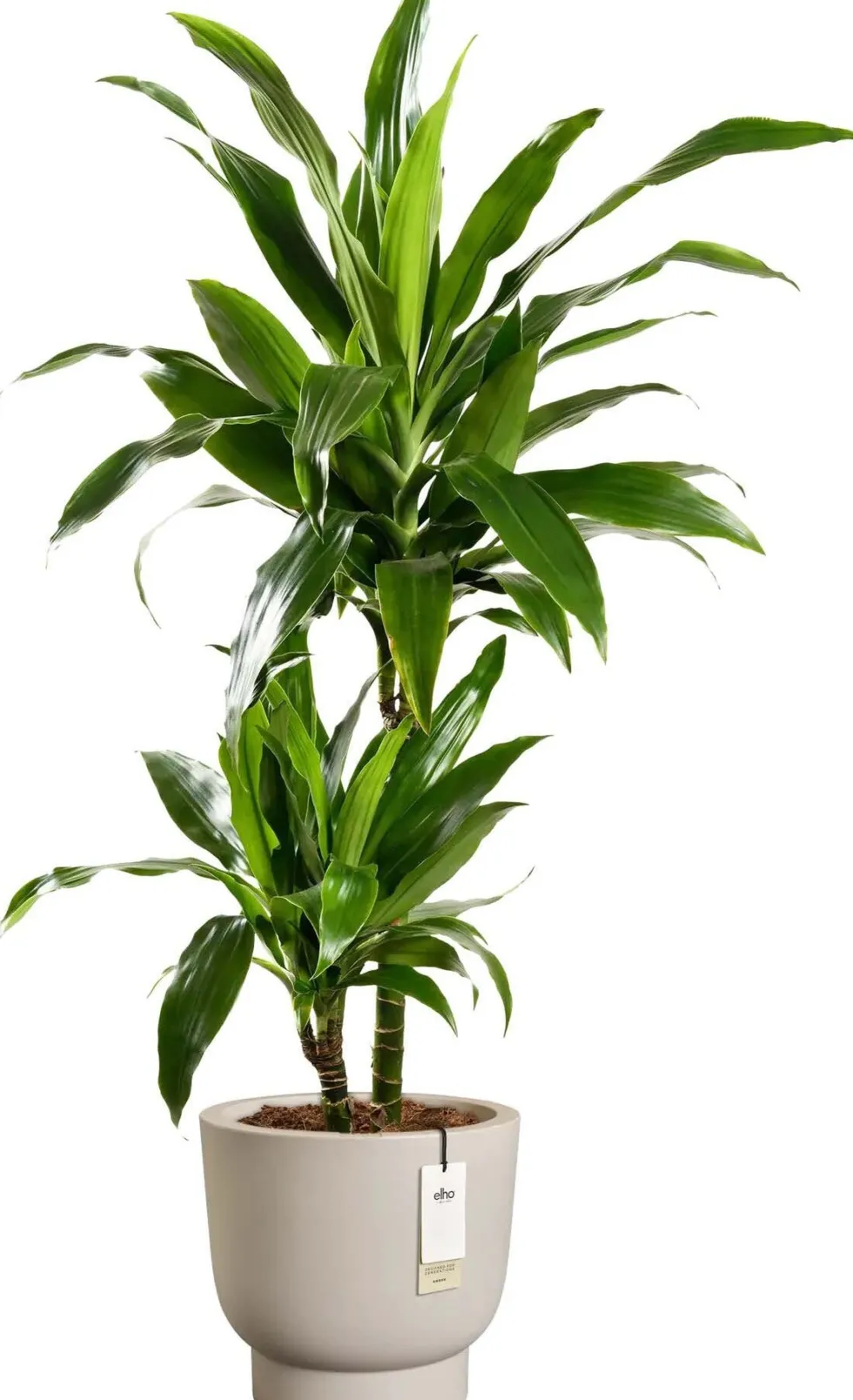 Elho bloempot op voet Amber Grail beige D 30 H 28 cm