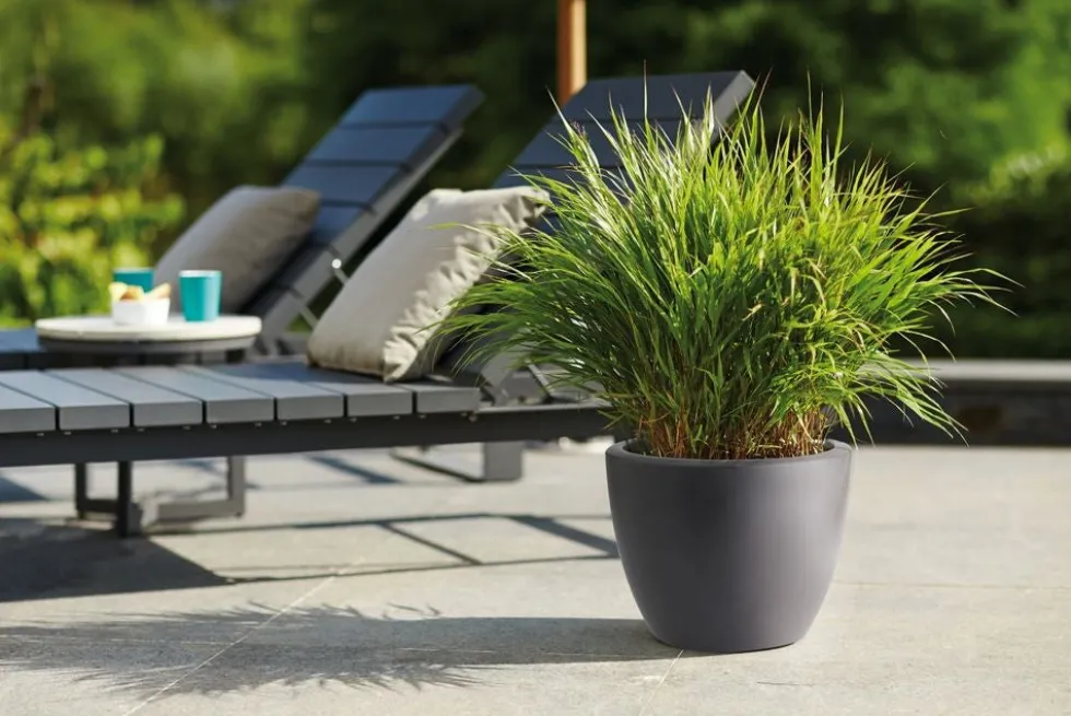 Elho bloempot Pure antraciet D 49 H 37 cm