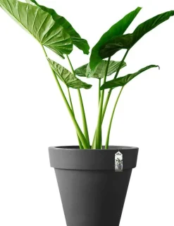Elho bloempot Pure antraciet D 59 H 53,6 cm