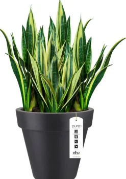 Elho bloempot Pure antraciet D 39 H 35,7 cm