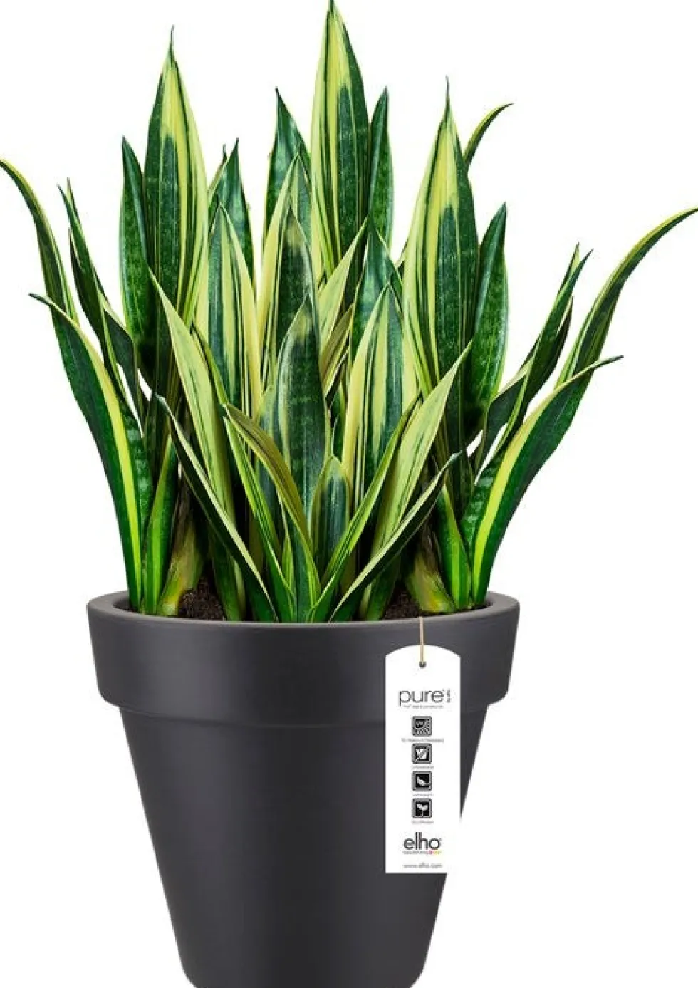 Elho bloempot Pure antraciet D 39 H 35,7 cm