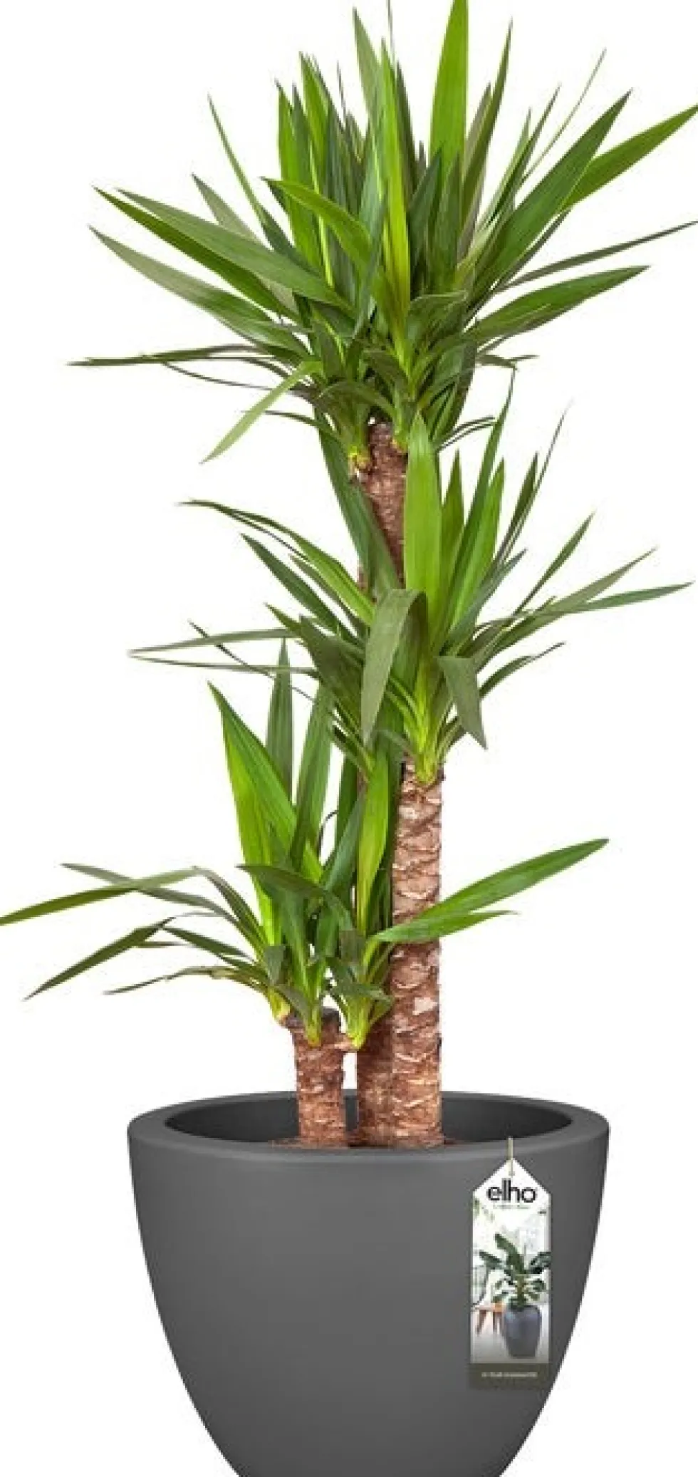 Elho bloempot Pure antraciet D 39 H 30,5 cm