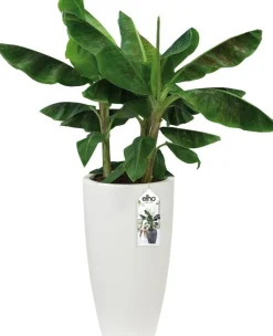 Elho bloempot Pure wit D 39 H 70,1 cm