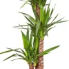 Elho bloempot Pure wit D 39 H 30,5 cm