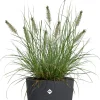 Elho bloempot Sereh antraciet D 39 H 33,3 cm