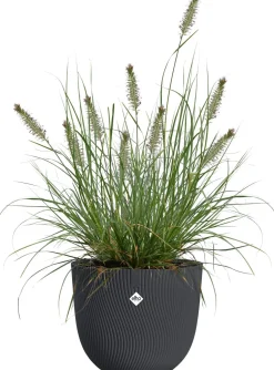 Elho bloempot Sereh antraciet D 30 H 25,3 cm