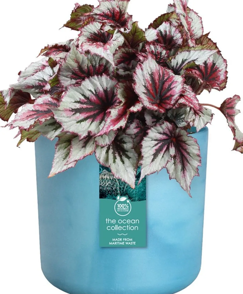 Elho bloempot The Ocean Collection blauw D 22 H 20,4 cm