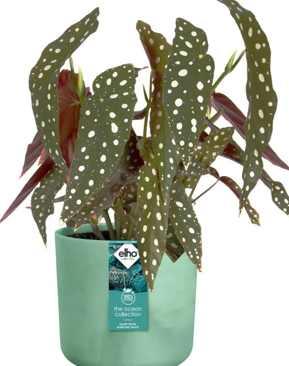 Elho bloempot The Ocean Collection groen D 18,3 H 16,7 cm