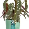 Elho bloempot The Ocean Collection groen D 13,8 H 12,5 cm