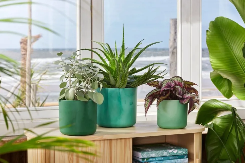 Elho bloempot The Ocean Collection groen D 13,8 H 12,5 cm