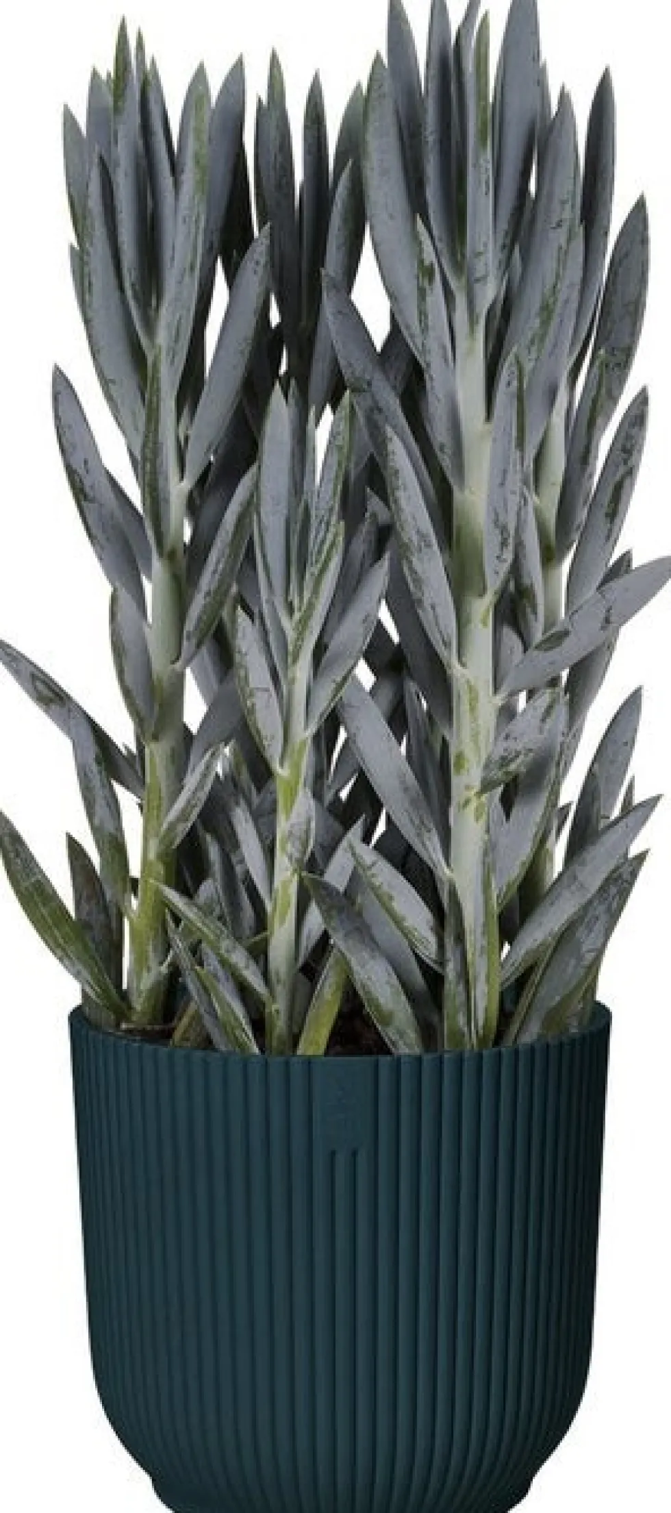 Elho bloempot Vibes blauw D 16,1 H 14,8 cm