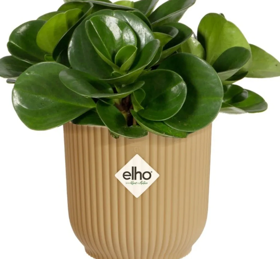 Elho bloempot Vibes geel D 7 H 6,5 cm