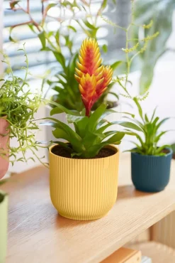 Elho bloempot Vibes geel D 16,1 H 14,8 cm
