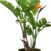 Elho bloempot Vibes groen D 22,02 H 20,1 cm