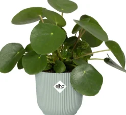 Elho bloempot Vibes groen D 14,1 H 12,9 cm