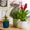 Elho bloempot Vibes groen D 18,3 H 16,8 cm