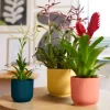 Elho bloempot Vibes roze D 11,1 H 10,5 cm