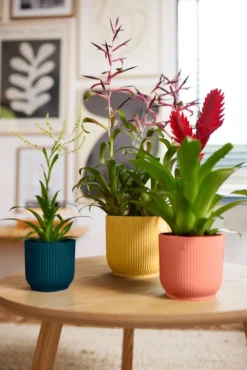 Elho bloempot Vibes roze D 11,1 H 10,5 cm