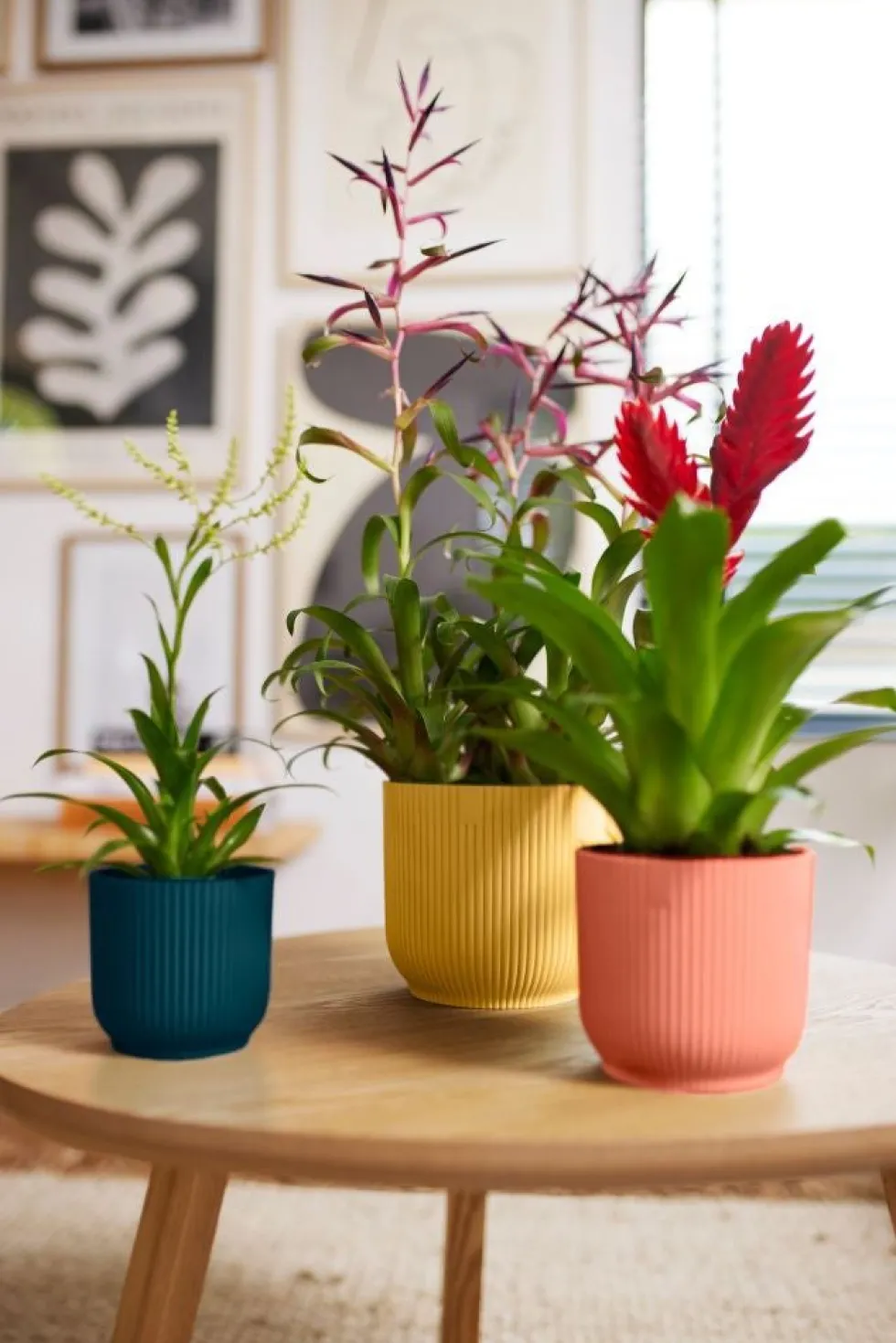 Elho bloempot Vibes roze D 11,1 H 10,5 cm
