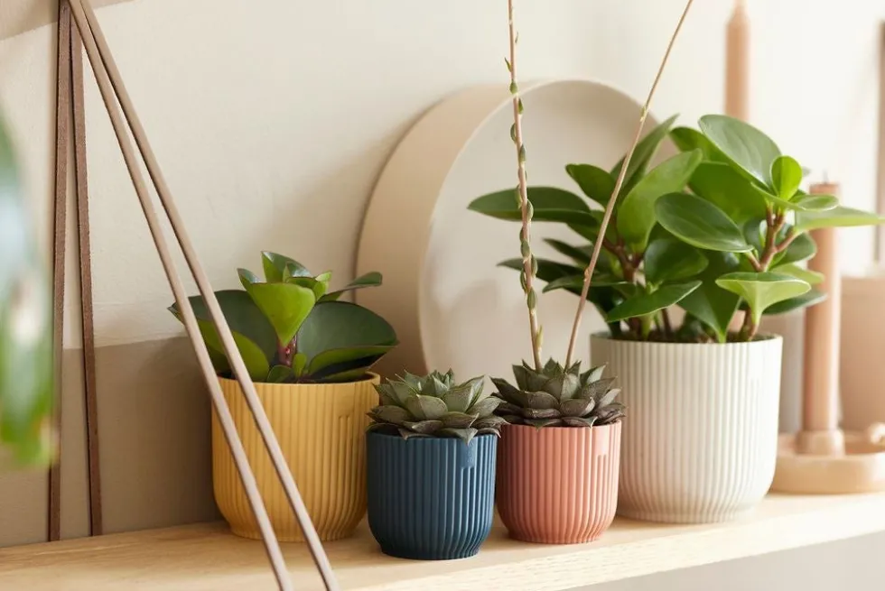 Elho bloempot Vibes roze D 7 H 6,5 cm