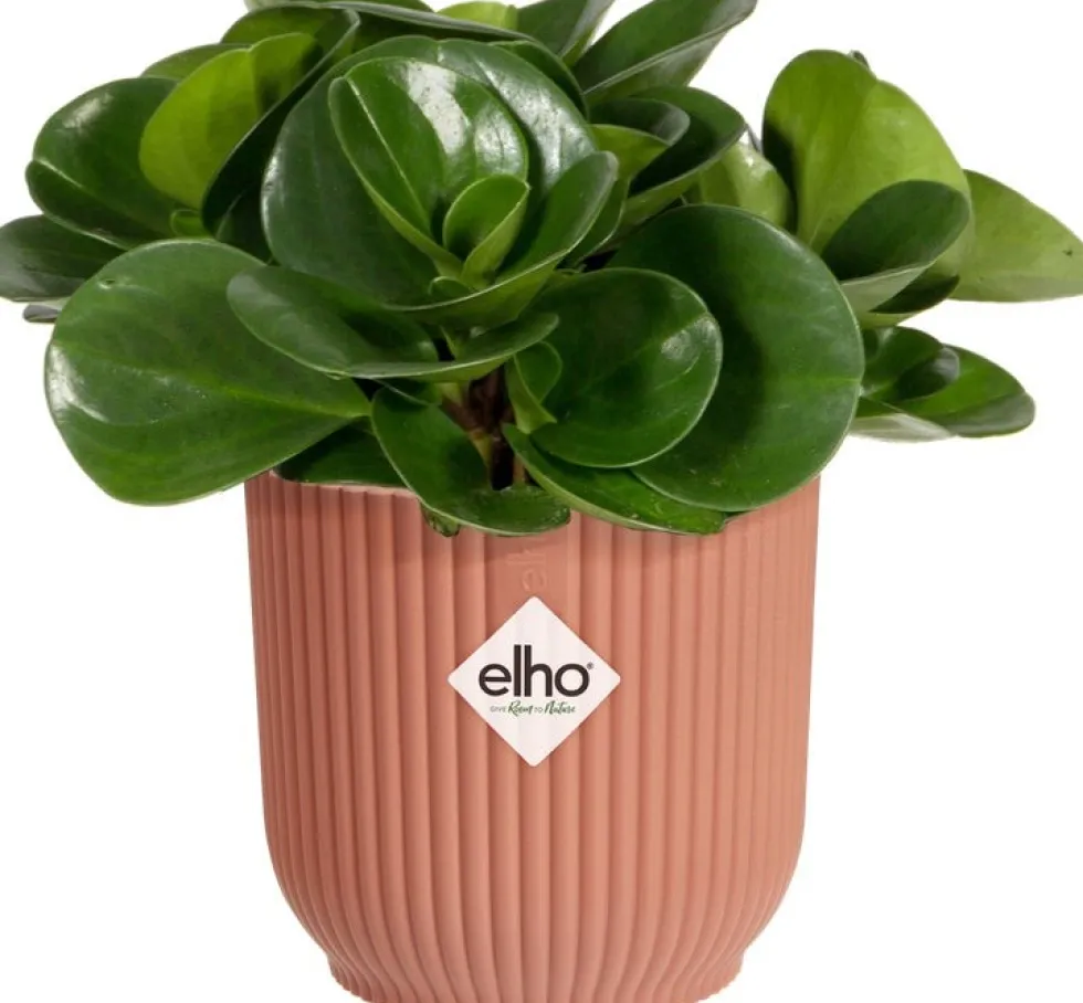 Elho bloempot Vibes roze D 7 H 6,5 cm