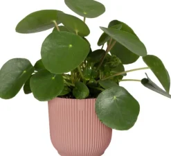 Elho bloempot Vibes roze D 22 H 20,3 cm