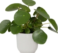 Elho bloempot Vibes wit D 22 H 20,3 cm
