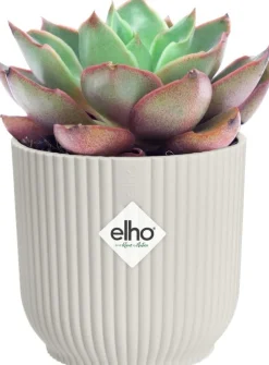 Elho bloempot Vibes wit D 9,3 H 8,8 cm
