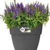 Elho bloempot Vibia Campana antraciet 28,8 x 28,8 x 28,2 cm