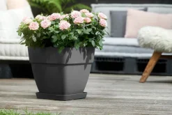 Elho bloempot Vibia Campana antraciet 28,8 x 28,8 x 28,2 cm